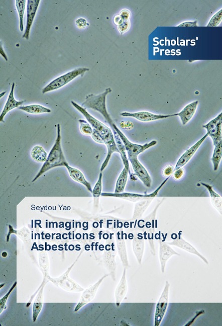 IR imaging of Fiber/Cell interactions for the study of Asbestos effect