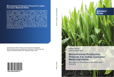 Microrhizome Production Protocol For Indian Curcuma: Medicinal Herbs: Microrhizome Production of Medicinal herb: Curcuma
