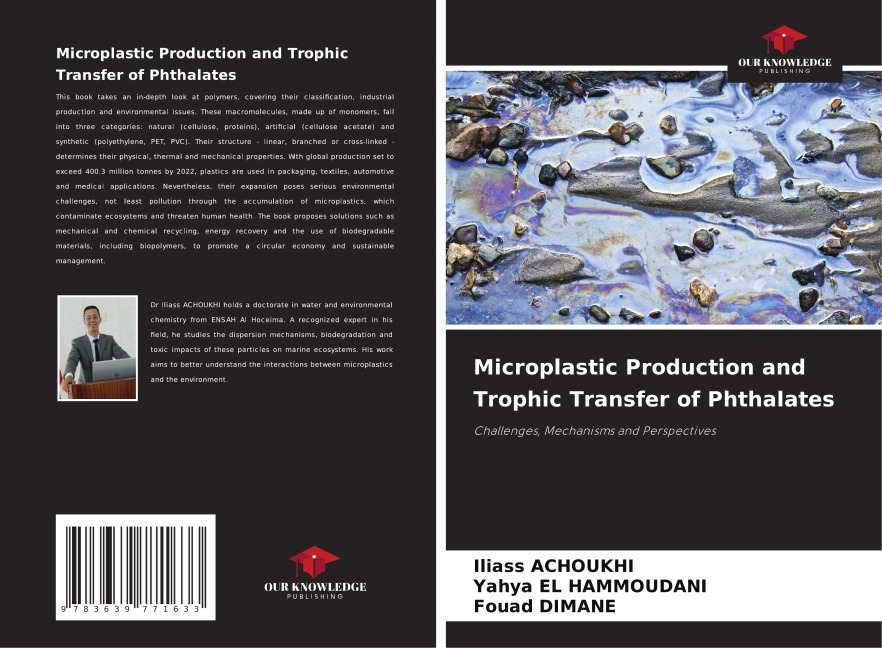 Microplastic Production and Trophic Transfer of Phthalates: Challenges, Mechanisms and Perspectives