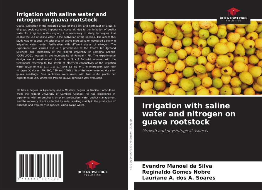 Irrigation with saline water and nitrogen on guava rootstock: Growth and physiological aspects