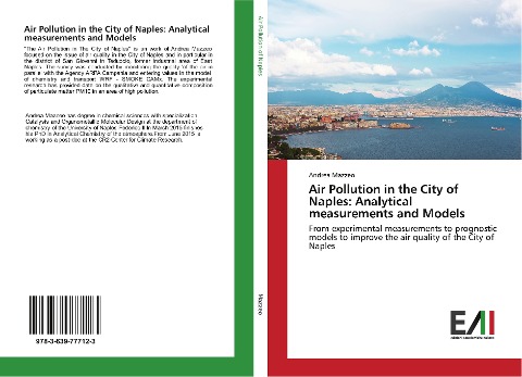 Air Pollution in the City of Naples: Analytical measurements and Models: From experimental measurements to prognostic models to improve the air quality of the City of Naples