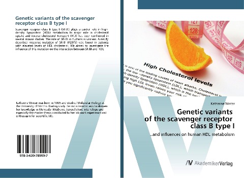Genetic variants of the scavenger receptor class B type I: ..and influences on human HDL metabolism