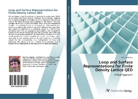 Loop and Surface Representations for Finite Density Lattice QED: A Dual Approach
