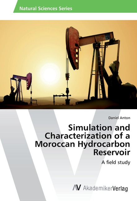 Simulation and Characterization of a Moroccan Hydrocarbon Reservoir: A field study