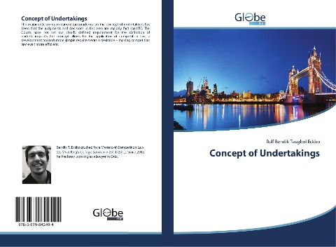 Concept of Undertakings