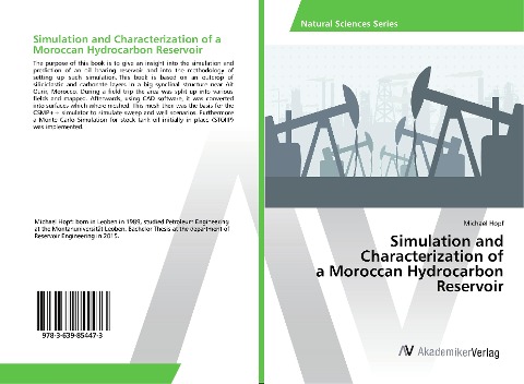 Simulation and Characterization of a Moroccan Hydrocarbon Reservoir