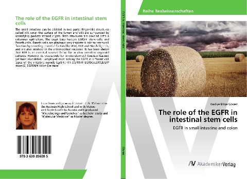 The role of the EGFR in intestinal stem cells: EGFR in small intestine and colon
