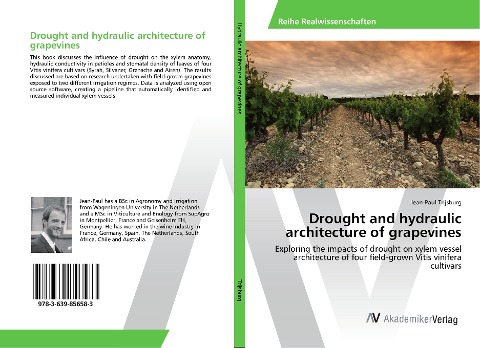 Drought and hydraulic architecture of grapevines: Exploring the impacts of drought on xylem vessel architecture of four field-grown Vitis vinifera cultivars