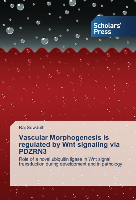 Vascular Morphogenesis is regulated by Wnt signaling via PDZRN3: Role of a novel ubiquitin ligase in Wnt signal transduction during development and in pathology