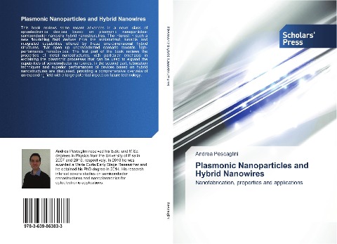 Plasmonic Nanoparticles and Hybrid Nanowires: Nanofabrication, properties and applications