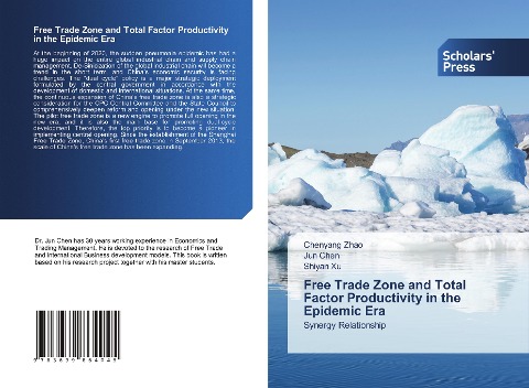 Free Trade Zone and Total Factor Productivity in the Epidemic Era: Synergy Relationship