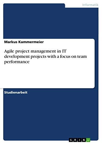 Agile project management in IT development projects with a focus on team performance