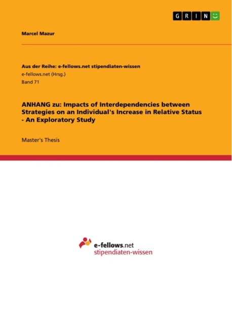 ANHANG zu: Impacts of Interdependencies between Strategies on an Individuals Increase in Relative Status - An Exploratory Study