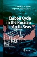 Carbon Cycle in the Russian Arctic Seas