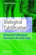 Biological Calcification: Normal and Pathological Processes in the Early Stages