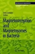 Magnetoreception and Magnetosomes in Bacteria