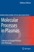 Molecular Processes in Plasmas: Collisions of Charged Particles with Molecules