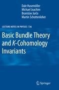 Basic Bundle Theory and K-Cohomology Invariants