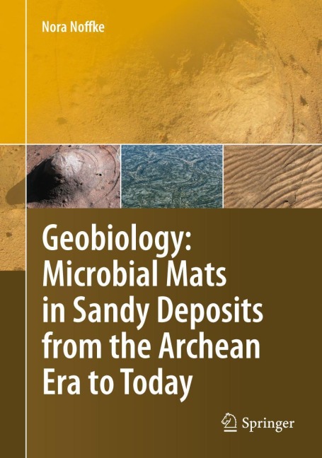 Geobiology: Microbial Mats in Sandy Deposits from the Archean Era to Today