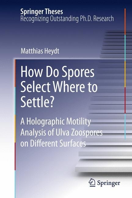 How Do Spores Select Where to Settle?: A Holographic Motility Analysis of Ulva Zoospores on Different Surfaces