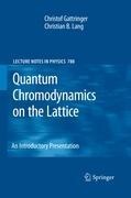 Quantum Chromodynamics on the Lattice: An Introductory Presentation