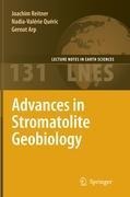 Advances in Stromatolite Geobiology