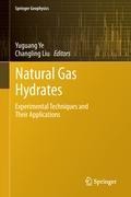 Natural Gas Hydrates: Experimental Techniques and Their Applications