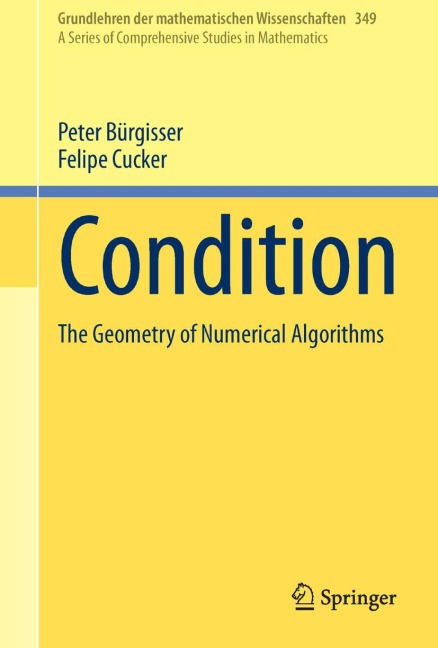 Condition: The Geometry of Numerical Algorithms