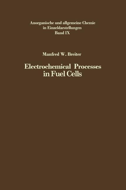 Electrochemical Processes in Fuel Cells