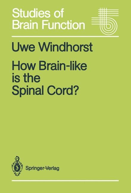 How Brain-like is the Spinal Cord?: Interacting Cell Assemblies in the Nervous System