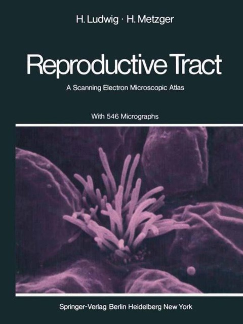 The Human Female Reproductive Tract: A Scanning Electron Microscopic Atlas
