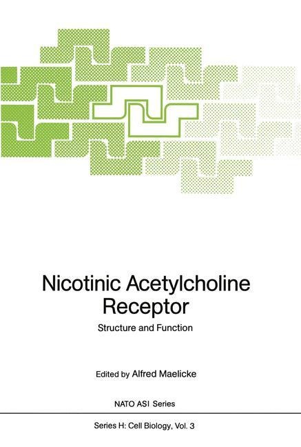 Nicotinic Acetylcholine Receptor: Structure and Function