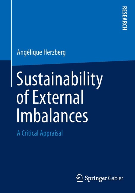 Sustainability of External Imbalances: A Critical Appraisal