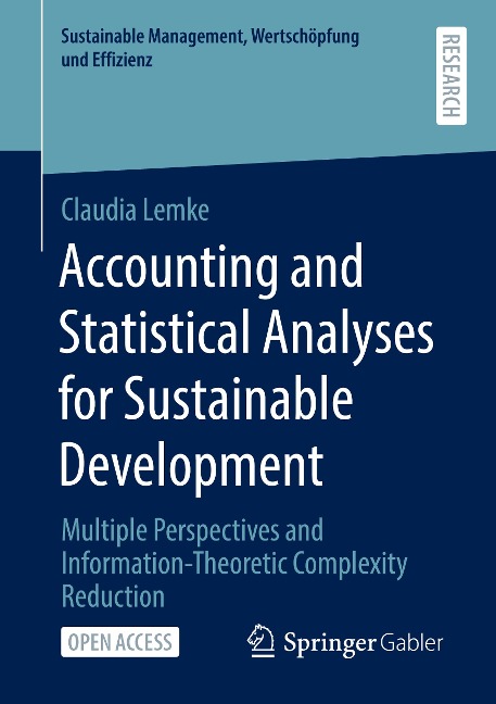 Accounting and Statistical Analyses for Sustainable Development: Multiple Perspectives and Information-Theoretic Complexity Reduction
