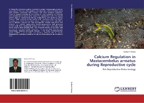 Calcium Regulation in Mastacembelus armatus during Reproductive cycle: Fish Reproductive Endocrinology