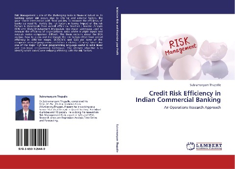 Credit Risk Efficiency in Indian Commercial Banking: An Operations Research Approach