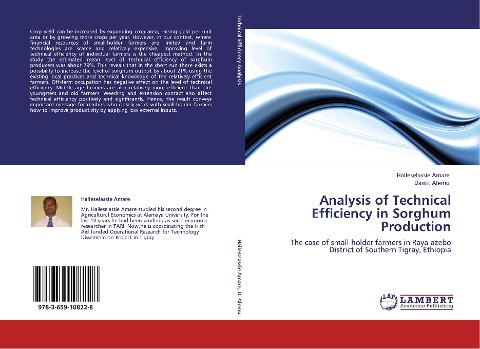 Analysis of Technical Efficiency in Sorghum Production: The case of small-holder farmers in Raya-azebo District of Southern Tigray, Ethiopia