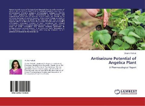 Antiseizure Potential of Angelica Plant: A Pharmacological Report