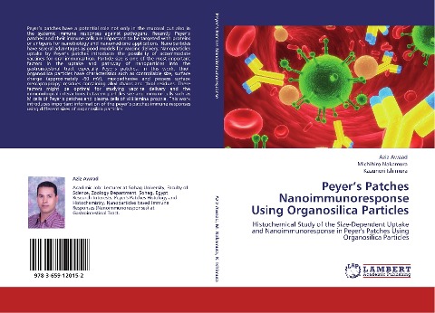 Peyers Patches Nanoimmunoresponse Using Organosilica Particles: Histochemical Study of the Size-Dependent Uptake and Nanoimmunoresponse in Peyers Patches Using Organosilica Particles