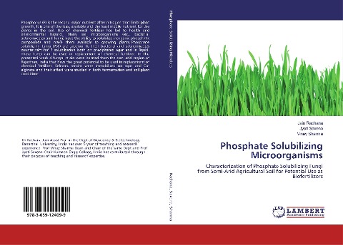 Phosphate Solubilizing Microorganisms: Characterization of Phosphate Solubilizing Fungi from Semi-Arid Agricultural Soil for Potential Use as Biofertilizers