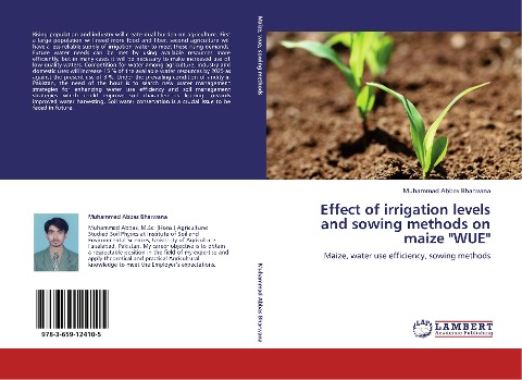 Effect of irrigation levels and sowing methods on maize WUE: Maize, water use efficiency, sowing methods
