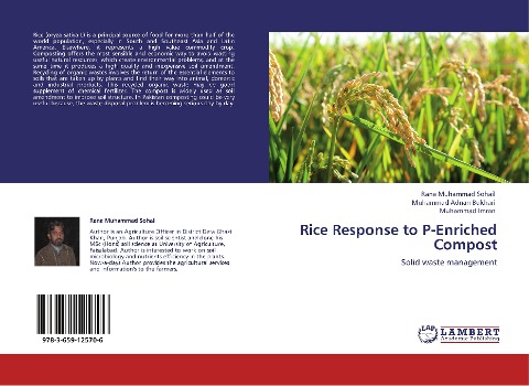 Rice Response to P-Enriched Compost: Solid waste management