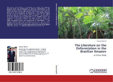The Literature on the Deforestation in the Brazilian Amazon: A Critical Study