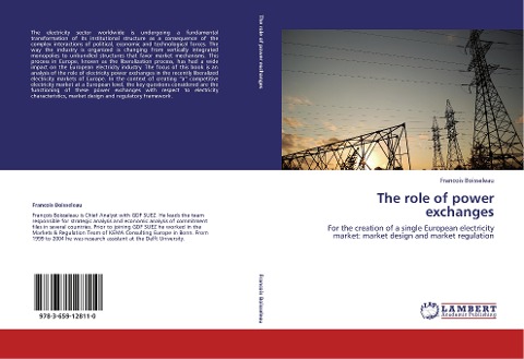 The role of power exchanges: For the creation of a single European electricity market: market design and market regulation