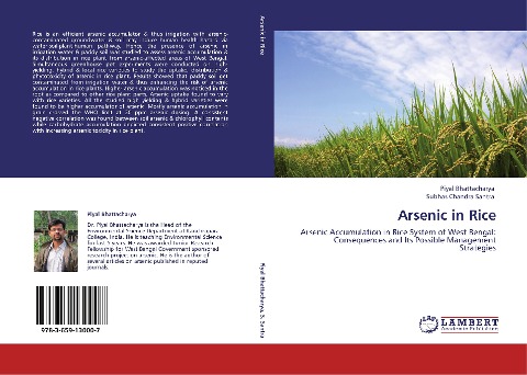 Arsenic in Rice: Arsenic Accumulation in Rice System of West Bengal: Consequences and Its Possible Management Strategies