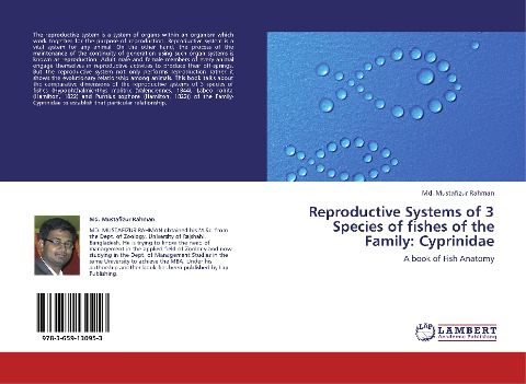 Reproductive Systems of 3 Species of fishes of the Family: Cyprinidae: A book of Fish Anatomy