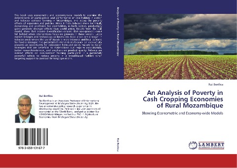 An Analysis of Poverty in Cash Cropping Economies of Rural Mozambique: Blending Econometric and Economy-wide Models