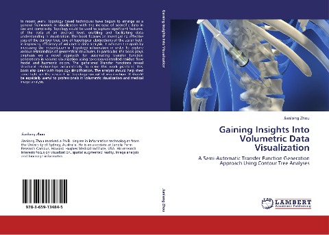 Gaining Insights Into Volumetric Data Visualization: A Semi-Automatic Transfer Function Generation Approach Using Contour Tree Analyses