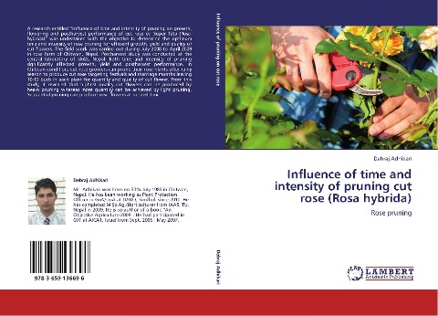 Influence of time and intensity of pruning cut rose (Rosa hybrida): Rose pruning