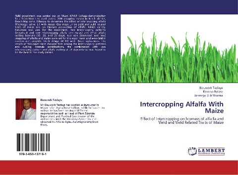 Intercropping Alfalfa With Maize: Effect of Intercropping on biomass of alfalfa and Yield and Yield Related Traits of Maize